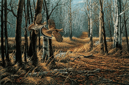 (image for) Old Logger's Trail Encore